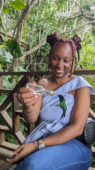 Montego Bay: Private Rocklands Bird Sanctuary Trip - When the private format helps most