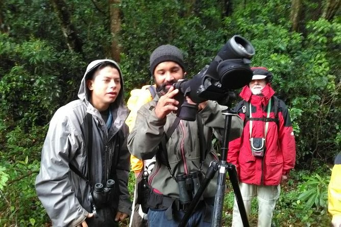 Monteverde Birdwatching Experience - Is $105 per person good value?