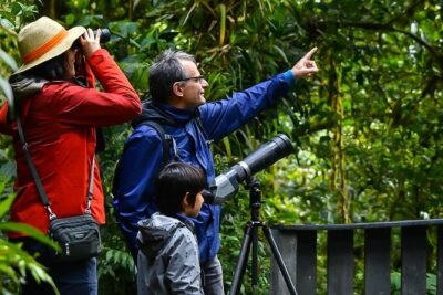 Monteverde Wildlife Walk & Hummingbird Encounter