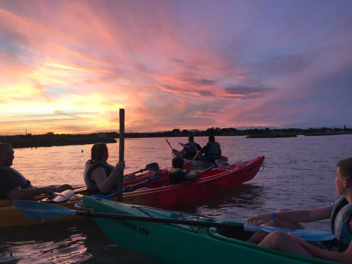 Montpellier : Birdwatching by kayak in the Camargue - Key points to know before you book