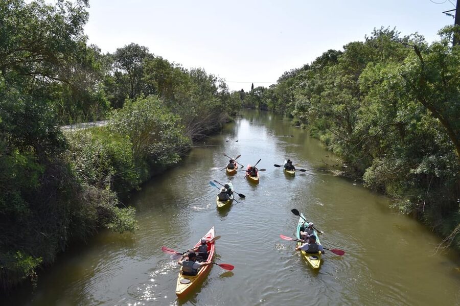 Montpellier : Birdwatching by kayak in the Camargue - Practical booking advice