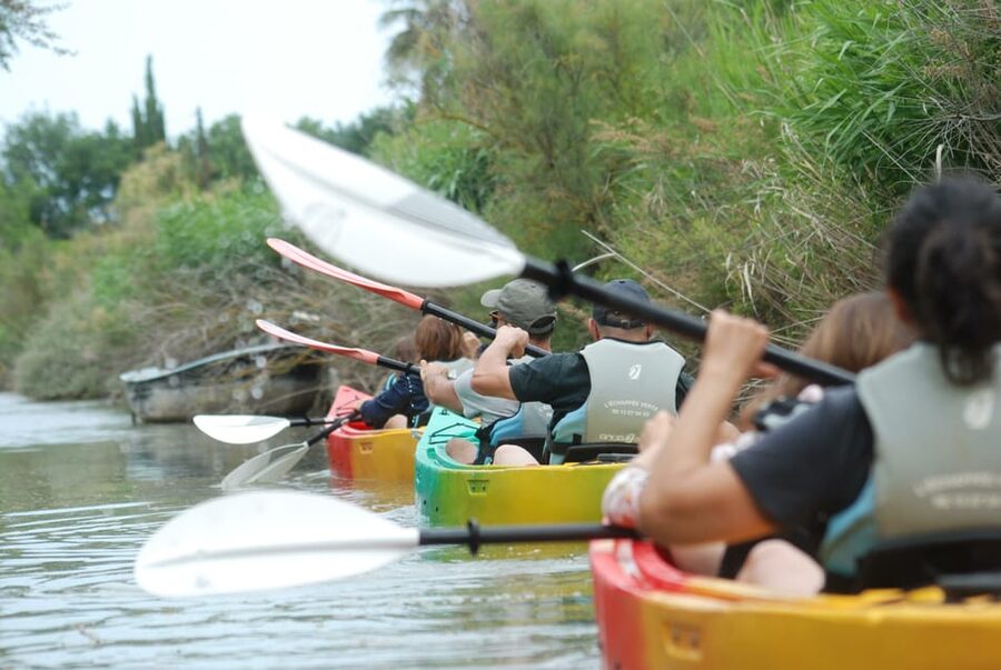 Montpellier : Birdwatching by kayak in the Camargue - Paddling into the Petite Camargue lagoon