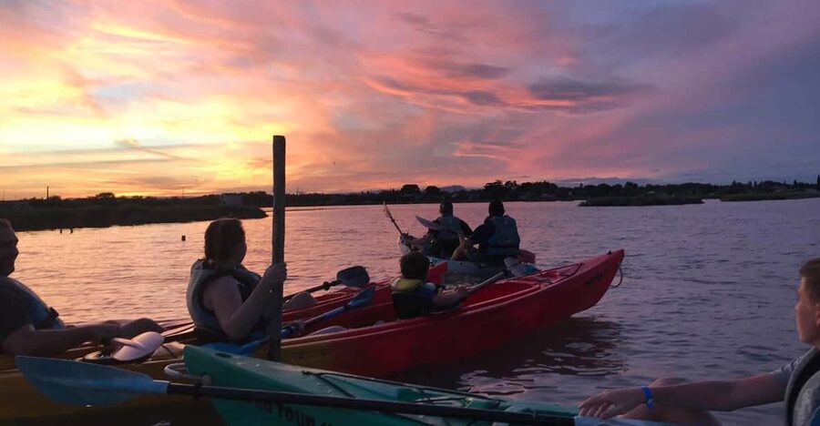 Montpellier : Birdwatching by kayak in the Camargue - Why the guide and regular stops matter
