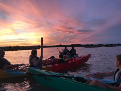 Montpellier : Birdwatching by kayak in the Camargue