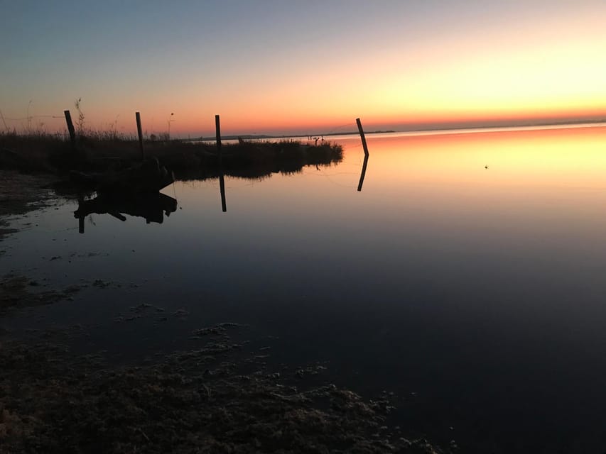 Montpellier : Birdwatching by kayak in the Camargue - Morning light or a Camargue sunset