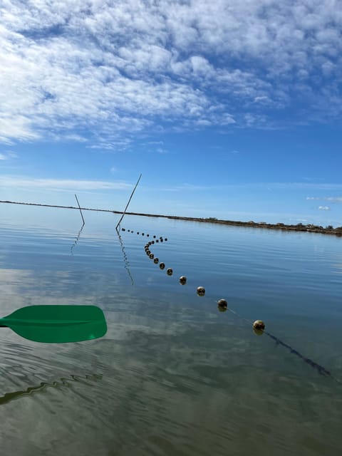 Montpellier : Birdwatching by kayak in the Camargue - Meeting at the wooden gate