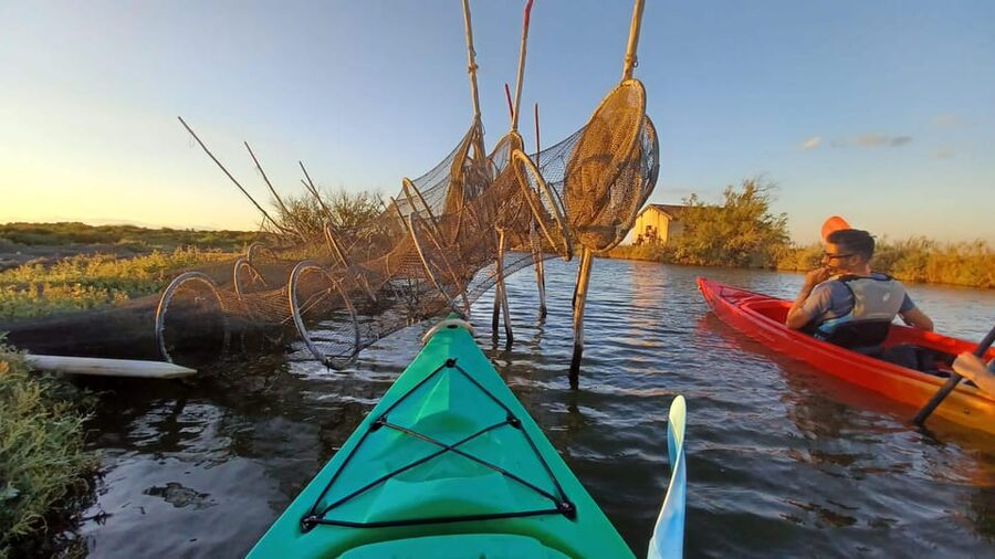 Montpellier : Birdwatching by kayak in the Camargue - Who will enjoy this most?