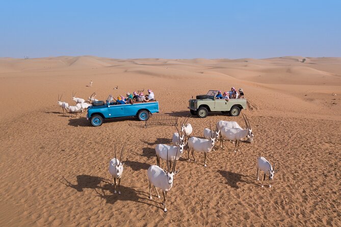 Morning Falconry & Nature Desert Safari with Transfers from Dubai - What the $166 price includes