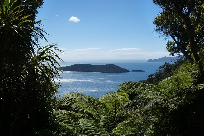 Motuara Island Bird Sanctuary and Ship Cove Cruise from Picton - The 8:00 am start shapes the whole morning