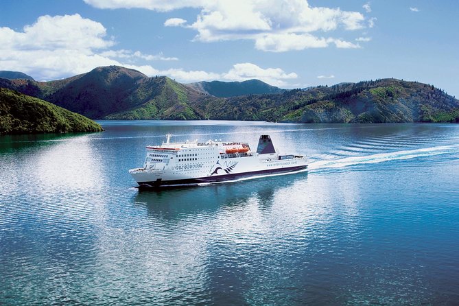Motuara Island Bird Sanctuary and Ship Cove Cruise from Picton - Walking Motuara’s bush track