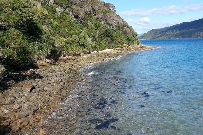 Motuara Island Bird Sanctuary and Ship Cove Cruise from Picton - What the $68.26 price really buys
