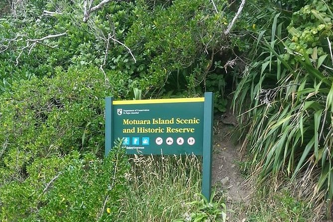 Motuara Island Bird Sanctuary and Ship Cove Cruise from Picton - Who will enjoy this morning most