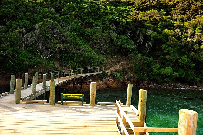 Motuara Island Bird Sanctuary and Ship Cove Cruise from Picton - Cruising the Queen Charlotte Sound