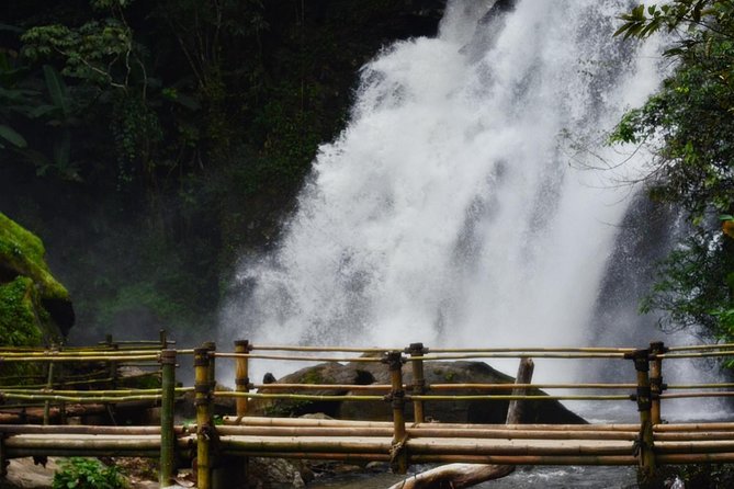 Mount Doi Inthanon Hiking & Bird Watching - Traditional coffee and a taste of local life