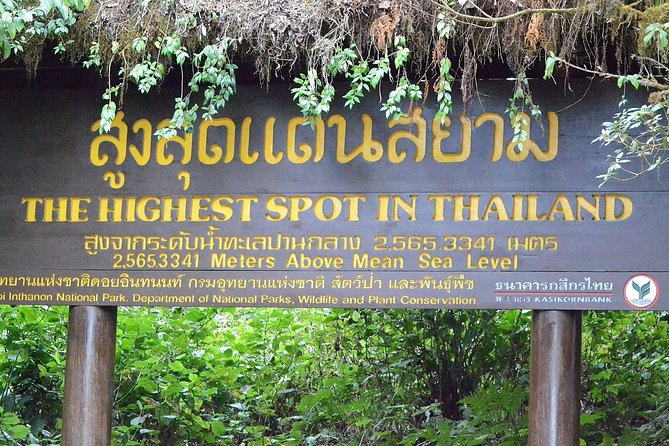Mount Doi Inthanon Hiking & Bird Watching - Who will enjoy this day most?