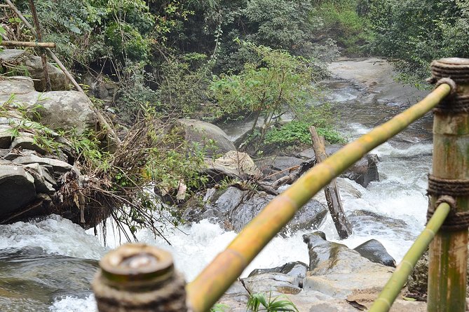 Mount Doi Inthanon Hiking & Bird Watching - What to pack for the mountain