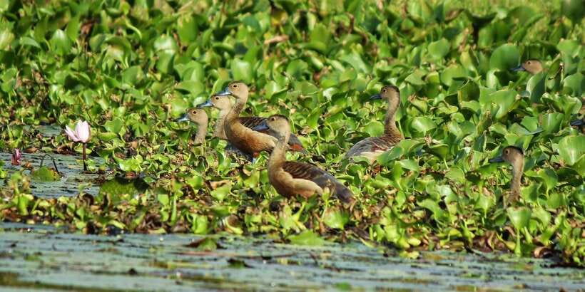 Muthurajawela Bird Watching Tour from Negombo and Colombo - Arriving at the Muthurajawela visitor center