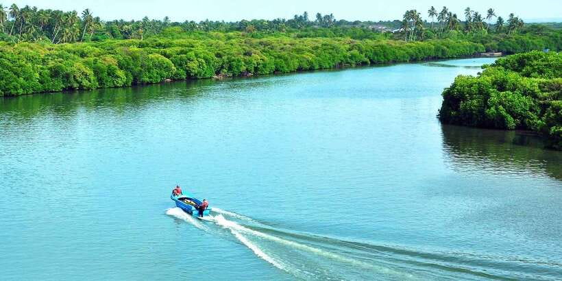 Muthurajawela Bird Watching Tour from Negombo and Colombo - The 7:00 AM tuk-tuk pickup from Negombo or Colombo
