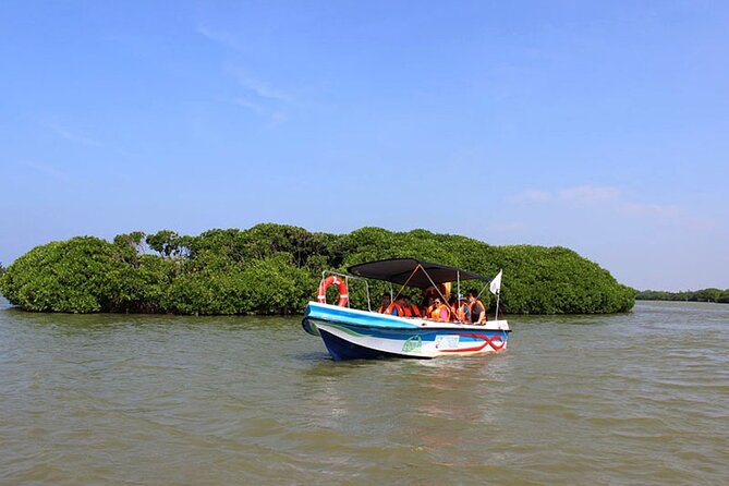Muthurajawela Bird Watching Tour from Negombo / Colombo - Key points at a glance