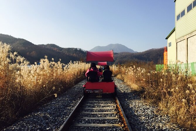 Nami Island and Begonia Bird Park Tour from Seoul (opt Railbike) - Begonia flowers, parrots, and alpacas in 90 minutes