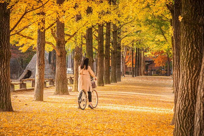 Nami Island and Begonia Bird Park Tour from Seoul (opt Railbike) - The optional Gangchon Railbike ride