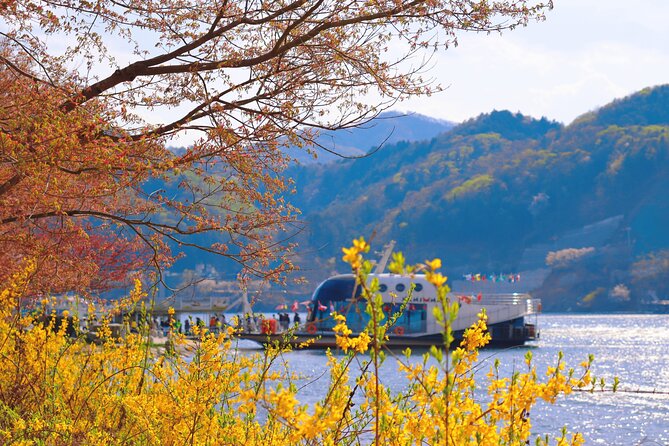 Nami Island and Begonia Bird Park Tour from Seoul (opt Railbike) - Lunch, timing, and the cost of a long day