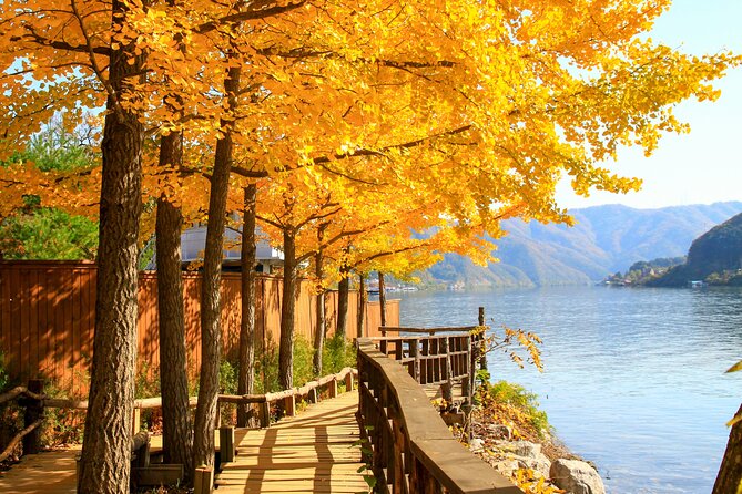 Nami Island and Begonia Bird Park Tour from Seoul (opt Railbike) - FAQ