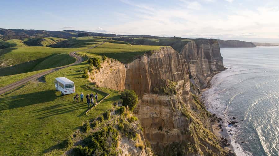 Napier: Cape Kidnappers Gannet, Nature & Sightseeing Tour - Forest, Reserve, and Views Before the Colony