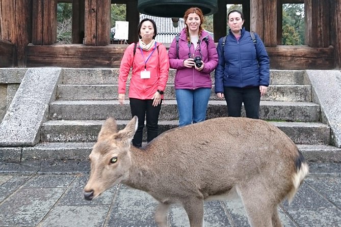 Nara Todaiji Lazy Bird Walking Tour - A forest walk to Kasuga Grand Shrine