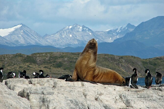Navigate through the Beagle Channel: Seal, Bird & Penguin Islands - Leaving Ushuaia through the Beagle Channel