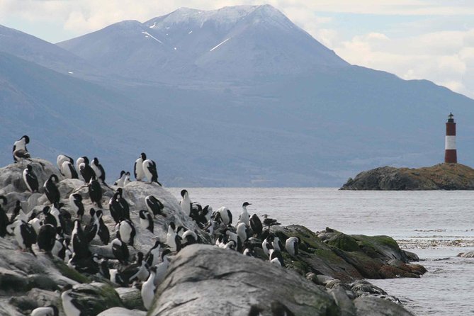 Navigate through the Beagle Channel: Seal, Bird & Penguin Islands - What the catamaran is like for five and a half hours