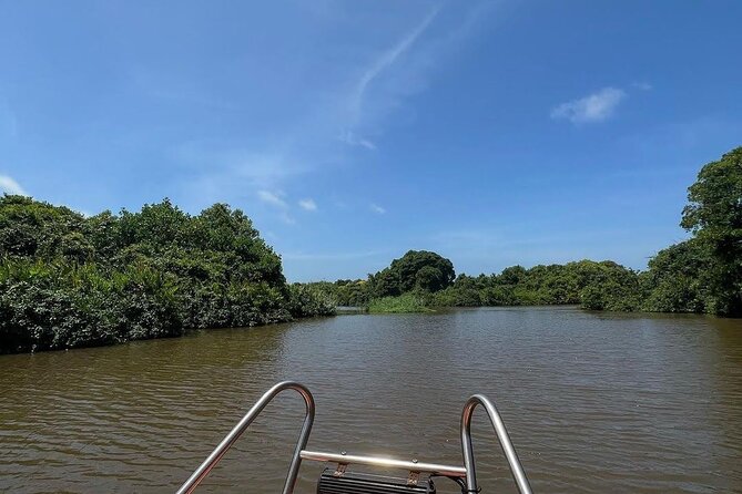Negombo Lagoon & Muthurjawela Bird Watching Boat Tour - Key points to know before booking