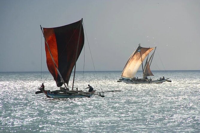 Negombo Lagoon & Muthurjawela Bird Watching Boat Tour - The $45 price and what you receive