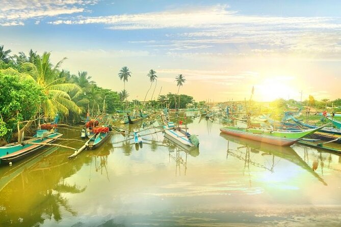Negombo Lagoon & Muthurjawela Bird Watching Boat Tour - Best time to go during the 6:00 AM to 6:00 PM window