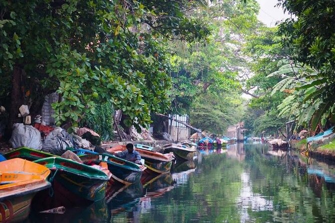 Negombo Lagoon & Muthurjawela Bird Watching Boat Tour - Who will enjoy this boat ride most
