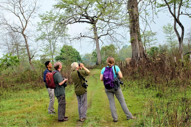 Nepal Birding - What the private format is worth at $225