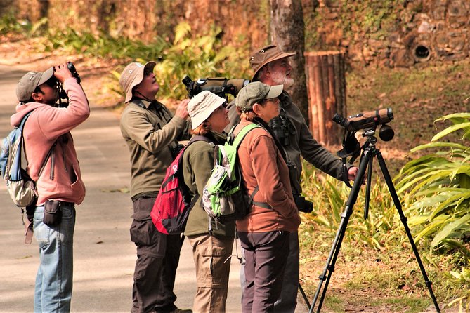 Nepal Birding - What the past guiding experience suggests