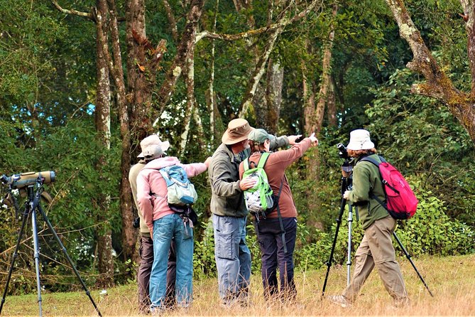 Nepal Birding - Who should book this outing