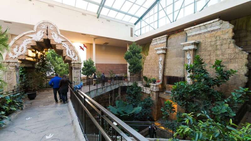Niagara Falls, Canada: Bird Kingdom Entry Ticket - Should You Book Bird Kingdom?