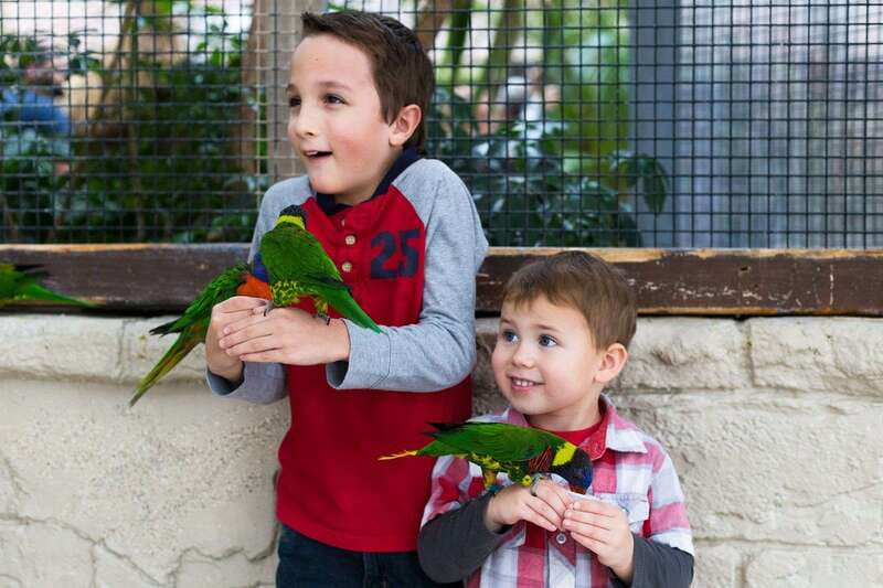 Niagara Falls, Canada: Bird Kingdom Entry Ticket - The Night Jungle and Nocturnal Creatures