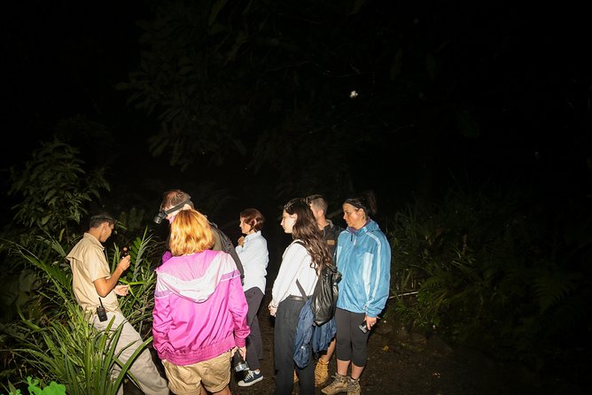 Night Walk Experience at Natura Eco Park, (frogs snakes mammals insects birds) - Walking the Natura Eco Park trails