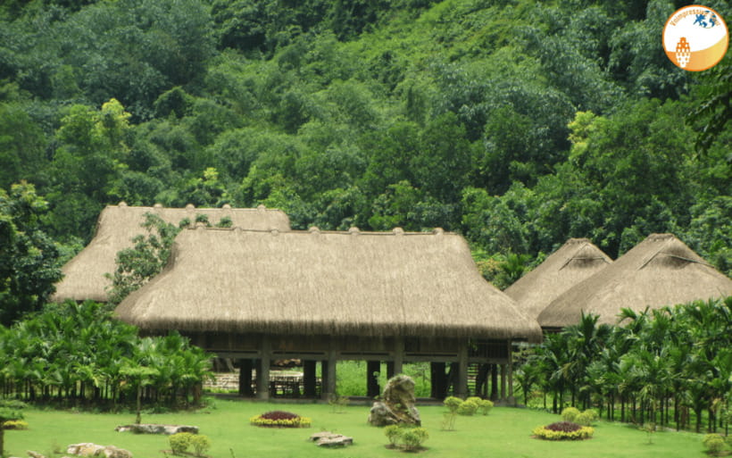 NINH BINH DAY TRIP: HOA LU,MUA CAVES &THUNG NHAM BIRD VALLEY - Flowers or seasonal fruit