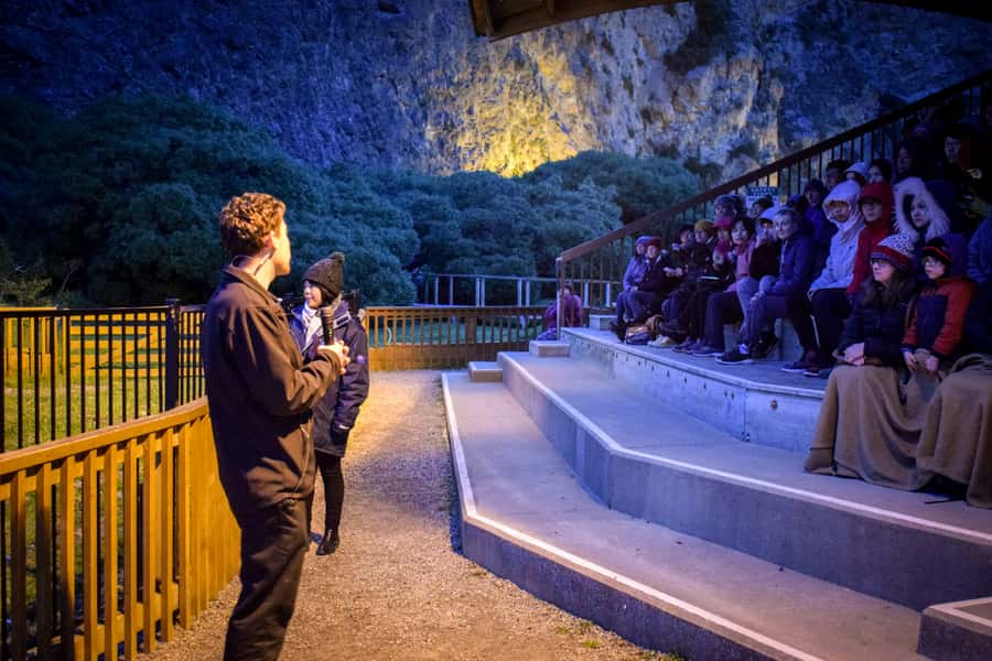 Oamaru: Penguins Evening Viewing Ticket - Is $28 good value?