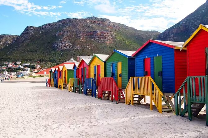One Day Cape of Good and Penguin Colony Expedition from Cape Town - Chapmans Peak Drive and Noordhoek
