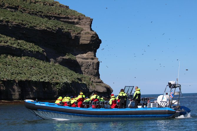 Original Big Whale Safari & Puffins Speedboat Tour from Húsavík - Stop 1: Searching for whales and dolphins