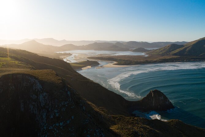 Otago Peninsula In-Depth Tour & Blue Penguins Pukekura Experience - Leaving Dunedin in a small group