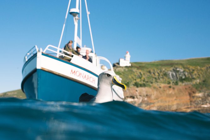 Otago Peninsula In-Depth Tour & Blue Penguins Pukekura Experience - Taiaroa Head and Pukekura’s cultural setting