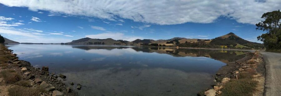 Otago Peninsula Scenery & Little Blue Penguin tour - Key points to know before booking