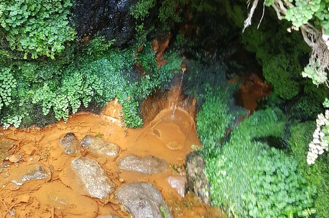 Over Water and Bird Songs - The monkey bridge, cave, and small waterfalls