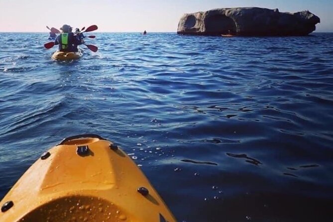 Paddle with the Penguins - What makes the conservation angle worthwhile